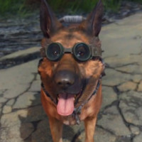 Our Beloved Pup, Dogmeat