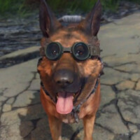 Our Beloved Pup, Dogmeat